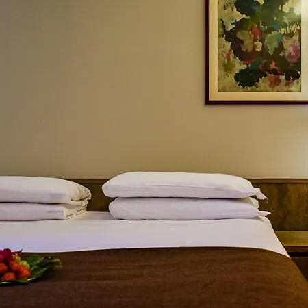 Hotel Romana 4*