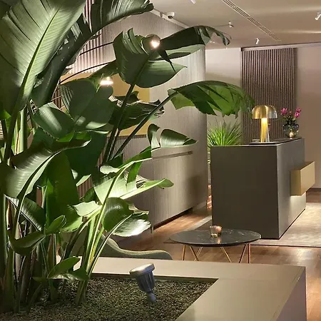 Отель Romana 4*